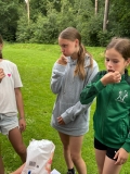 IMG-20250620-WA0006