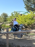IMG-20250414-WA0003